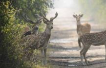 Screenshot 2024 09 17 at 11.09.33 AM